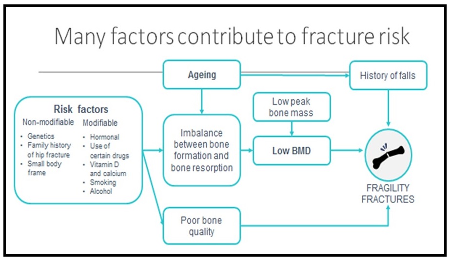 Fracture services slide 2